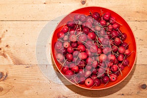 Red crab apples