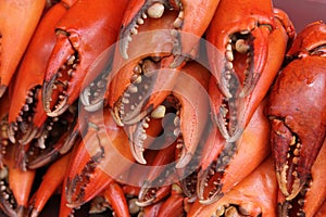 Red crab claws