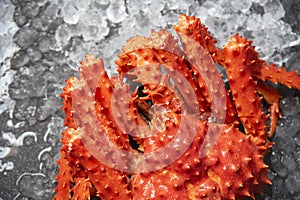 Red crab hokkaido on ice at seafood market / Alaskan King Crab background