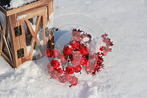 Red crabapples in snow