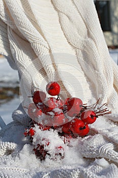 Red crabapples on white blanket