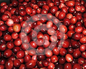 Red Cranberries