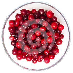 Red cranberries in bowl on white