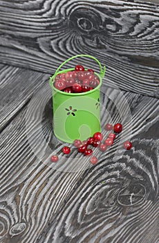 Red cranberries in a miniature green bucket. Stands on brushed boards. Some berries are scattered nearby