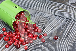 Red cranberries in an overturned green bucket. Lies on brushed boards. Some berries are scattered nearby