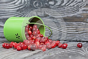 Red cranberries in an overturned green bucket. Lies on brushed boards. Some berries are scattered nearby