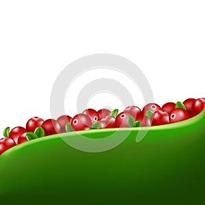 Red Cranberry Border photo