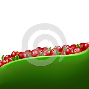 Red Cranberry Border