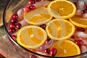 Red Cranberry Holiday Punch