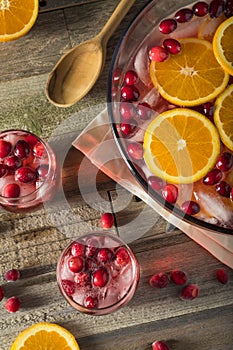 Red Cranberry Holiday Punch