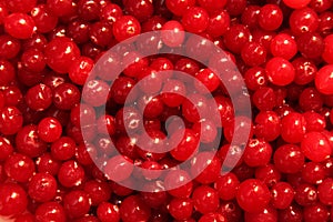 Red Cranberry Texture