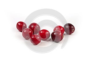 Red cranberry on white