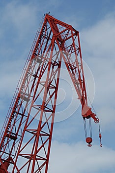 Red Crane closeup with blue sky background