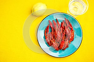 Red Crayfish on Blue Plate and Yellow Table,Modern Colors