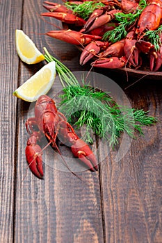Red crayfishes on a plate served with dill and lemon, on dark wooden background, vertical, copy space