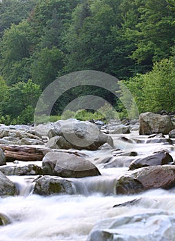 Red Creek Rapids