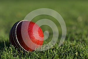 Red Cricket Ball On Grass