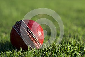 Red cricket ball on green grass