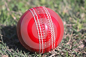 Red Cricket Sports Ball test Match