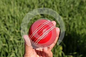 Red Cricket Sports Ball test Match in hand