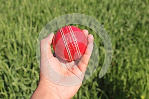 Red Cricket Sports Ball test Match in hand