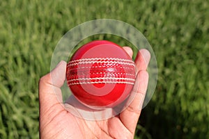 Red Cricket Sports Ball test Match in hand