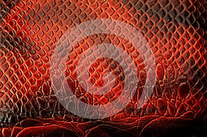 Red croco dragon leather texture
