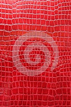 Red crocodile leather photo