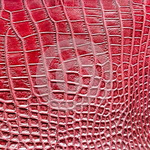 Red crocodile leather texture