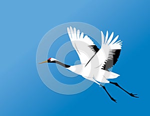 Red-crowned crane fly vector