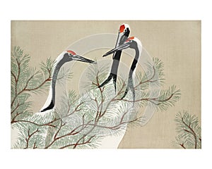 Red-crowned cranes vintage illustration wall art print and poster design remix from the original artwork by Kamisaka Sekka