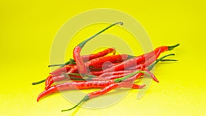 The red Curly chilies (Capsicum annum L.) with a yellow background.