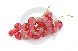 red currant photo