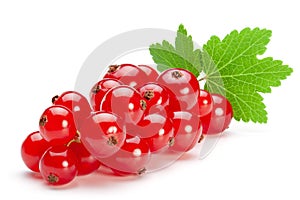 Red currant berries  isolated on the white background