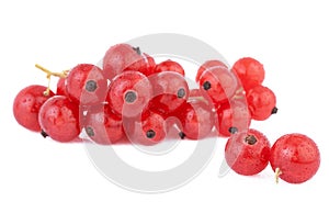 Red Currant Berries isolated on white