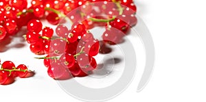 Red currant berries isolated on white background. Fresh and juicy organic redcurrant berry macro shot