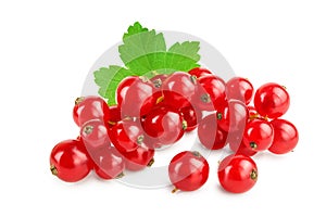 Red currant berries with leaf isolated on white background