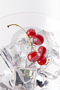Red currant berries in a martini glass on white background