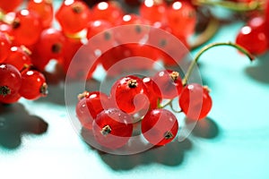 Red currant berries on turquoise background, top view. Fresh and juicy organic redcurrant berry