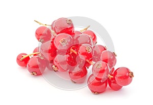 Red currant berry photo