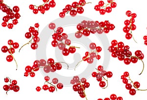 Red currant berry photo