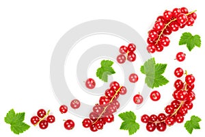 Red currant berry with leaf isolated on white background with copy space for your text. Top view. Flat lay pattern