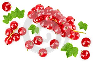 Red currant berry with leaf isolated on white background. Top view. Flat lay pattern