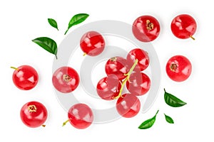 Red currant berry with leaf isolated on white background. Top view. Flat lay pattern