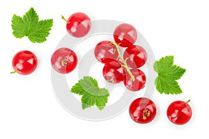 Red currant berry with leaf isolated on white background. Top view. Flat lay pattern