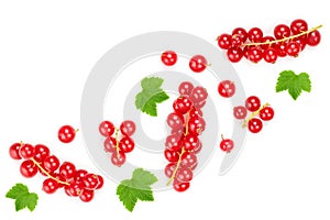 Red currant berry with leaf isolated on white background. Top view. Flat lay pattern