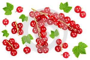 Red currant berry with leaf isolated on white background. Top view. Flat lay pattern