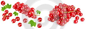 Red currant berry with leaf isolated on white background. Top view. Flat lay pattern