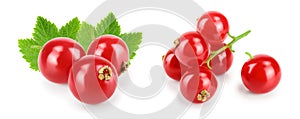 Red currant berry with leaves isolated on white background. Set or collection.
