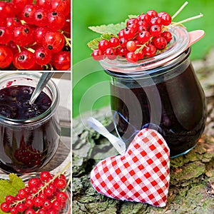 Red currant collage